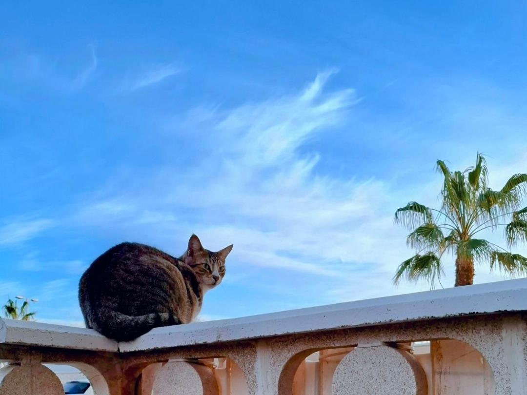 Habitacion Doble Con Bano Y Terraza Privada El Médano المظهر الخارجي الصورة