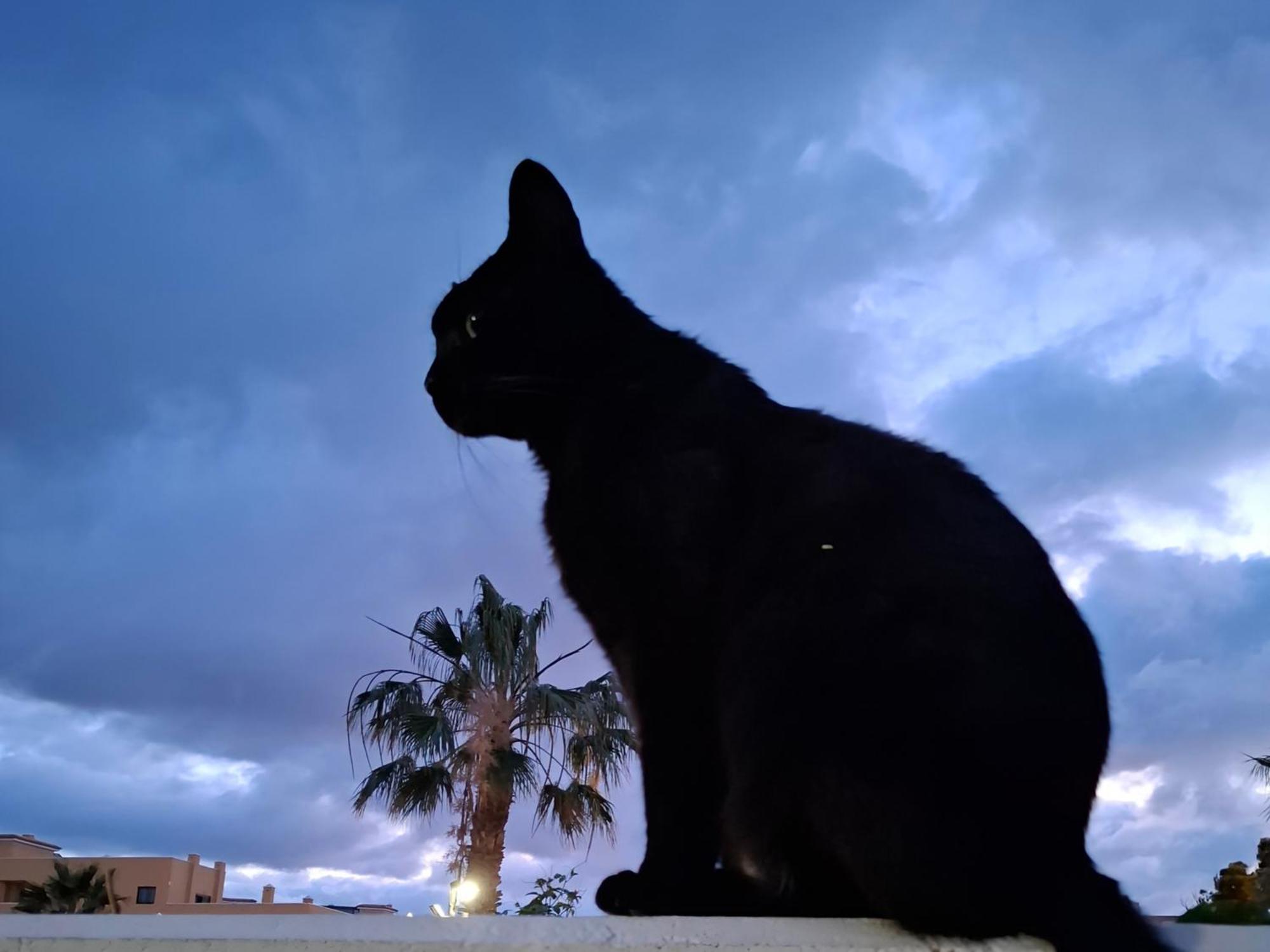 Habitacion Doble Con Bano Y Terraza Privada El Médano المظهر الخارجي الصورة